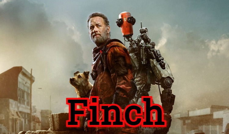Finch – O`zbek tilida