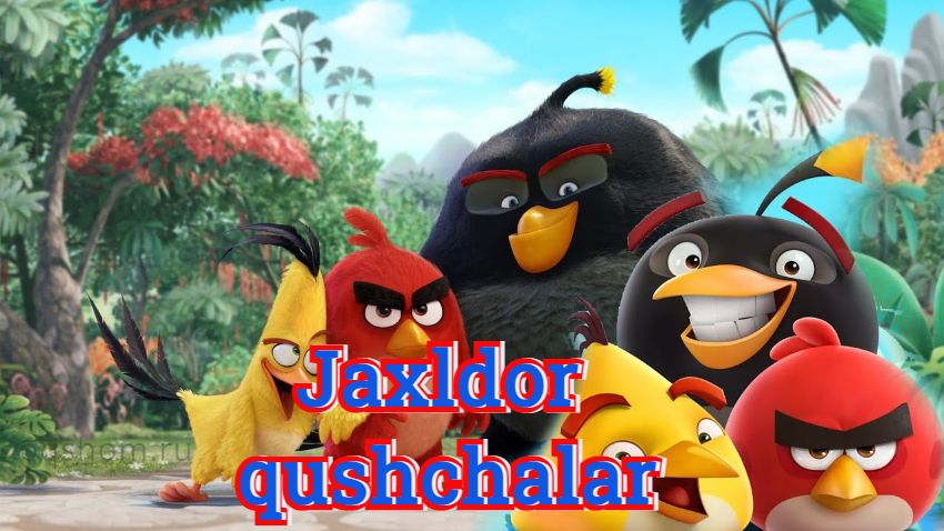 Jaxldor qushchalar – Multfilm O’zbek tilida